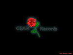 Ceam Records Rose Black Wall Paper 800 x 600