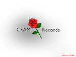 Ceam Records Rose Black Wall Paper 1024 x 768